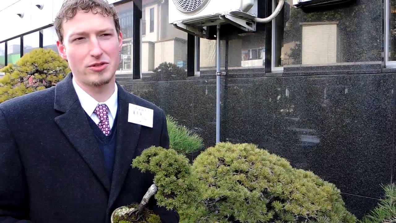 Adam Jones on Ezo-spruce