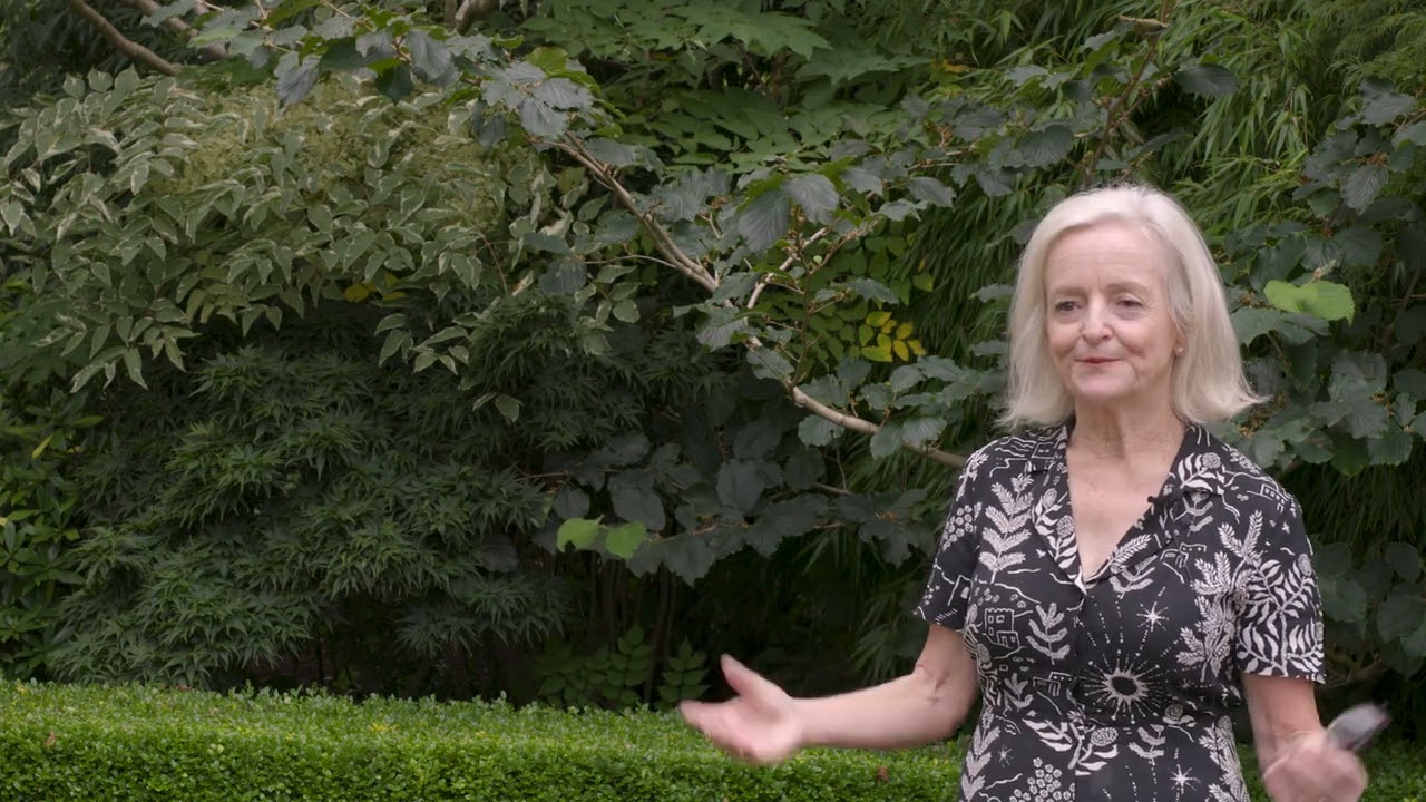 Africa's Wildflowers & Flora with Botanical Guide Teena Crawford