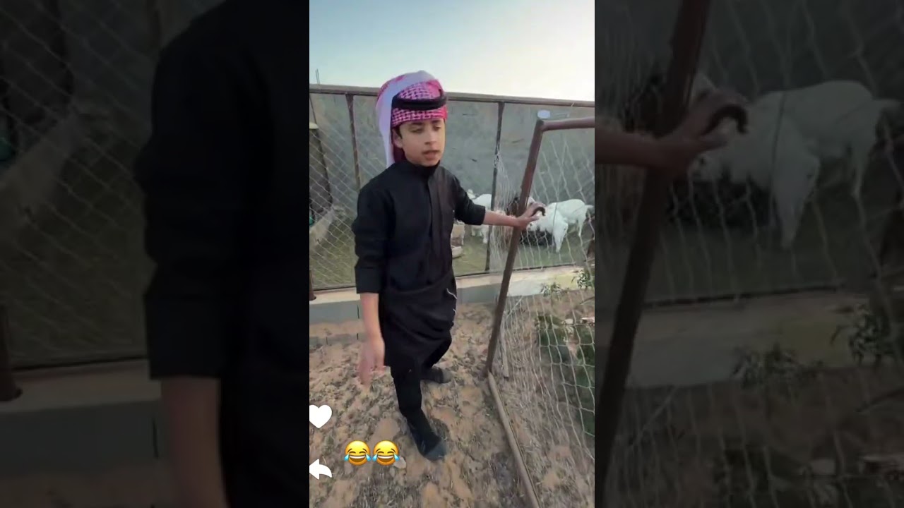 ايو قرون يضرب  تذكار / سنابات ابو ناصر