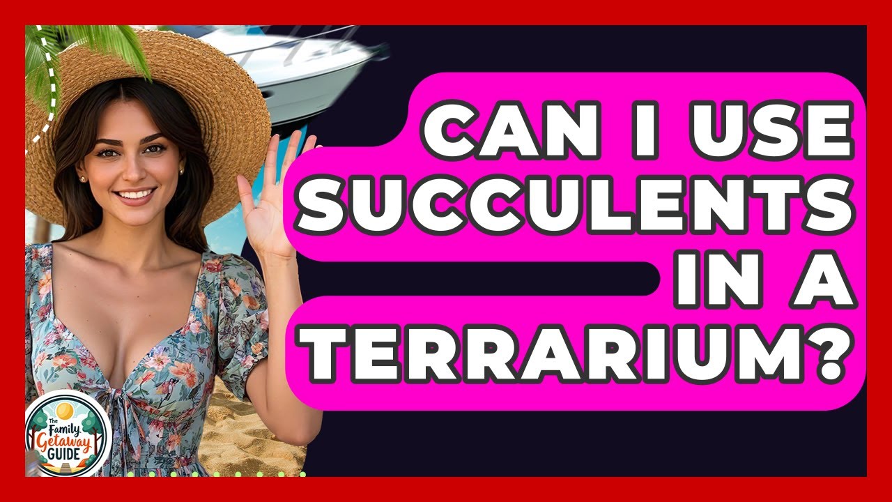 Can I Use Succulents In A Terrarium? - The Family Getaway Guide