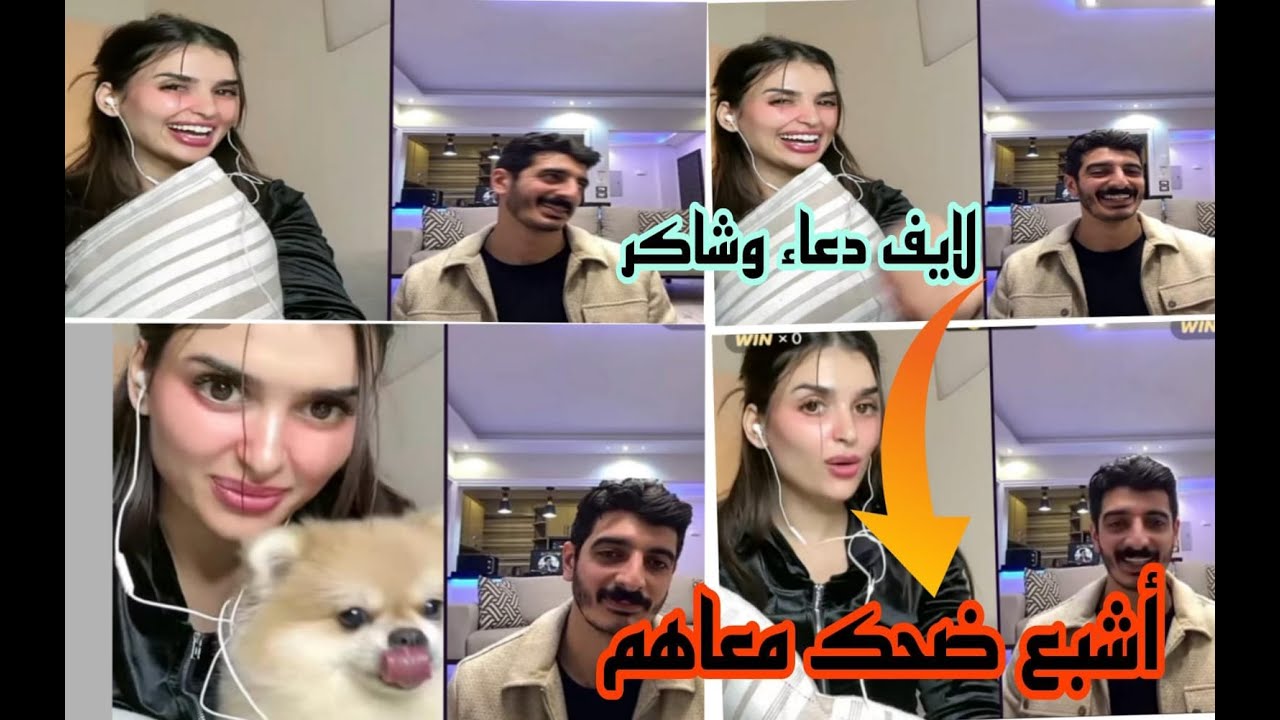 أليف دعاء  و شاكر حوار مثير... الزواج  الرومنسية مايكنش شحال ضحكت معاهم 🤣