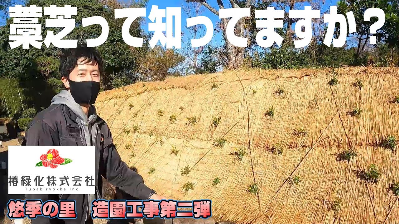 【藁芝、ワラ芝】旅館の造園工事第二弾、今回は法面を和風の雰囲気に改修しました！