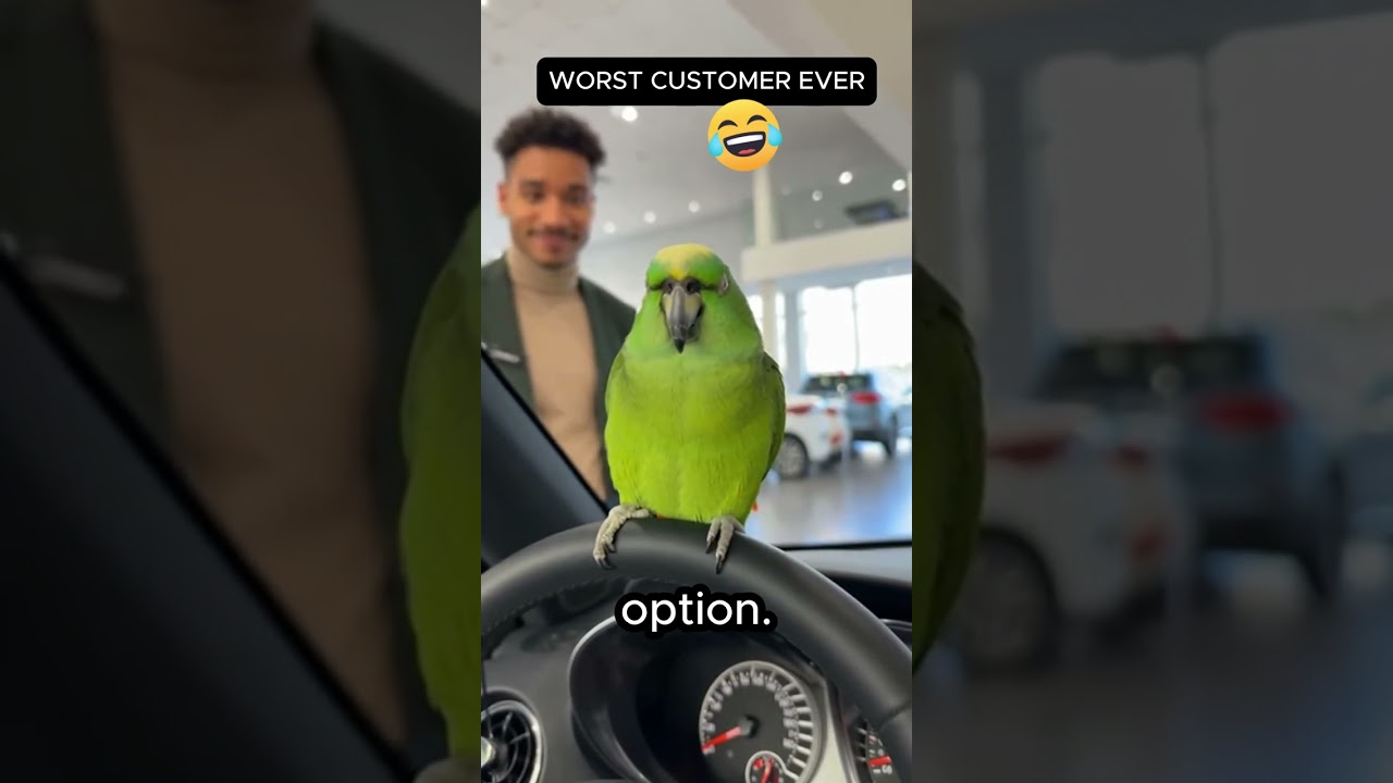 Car Salesman Was NOT Ready for This Parrot Customer 