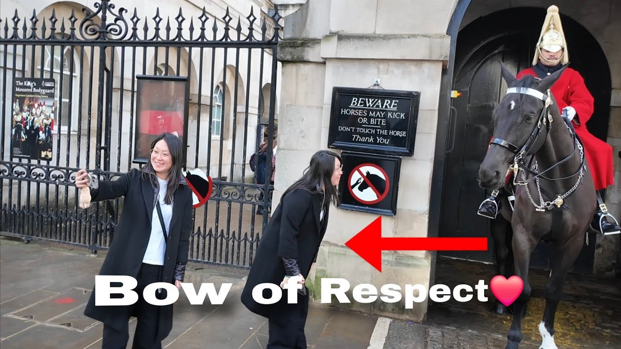 Respectful Japanese tourist showing respect to the King's Guard🙏❤️