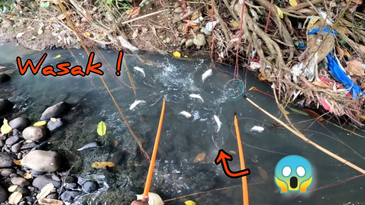 Inanod ang mga isda dahil nasira ang fishpond.