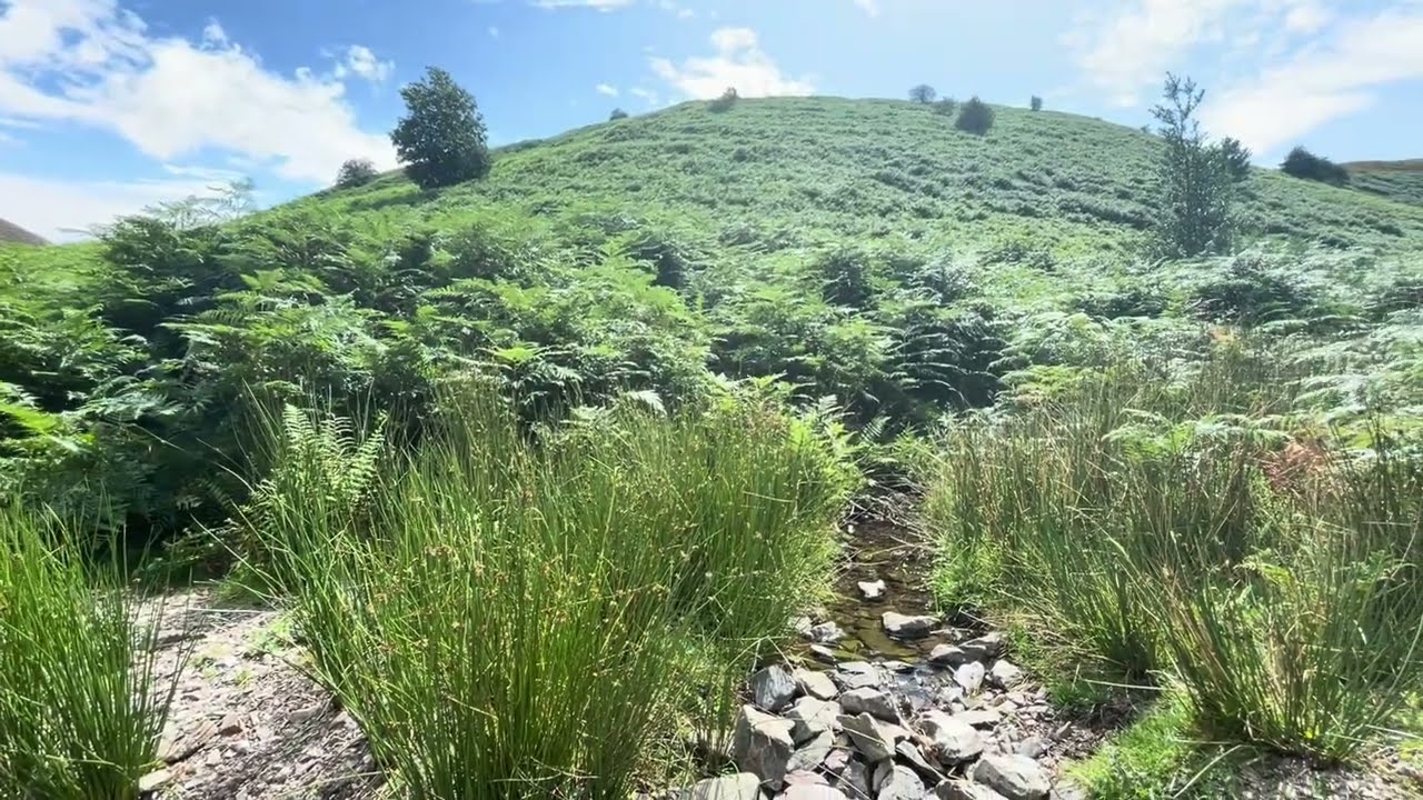 Symphony No. 1 [3. View from Church Stretton]