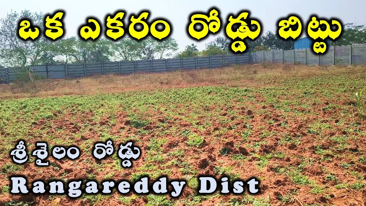ఒక ఎకరం రోడ్డు బిట్టు శ్రీశైలం రోడ్డు లో Agriculture Lands for Sale in Telangana