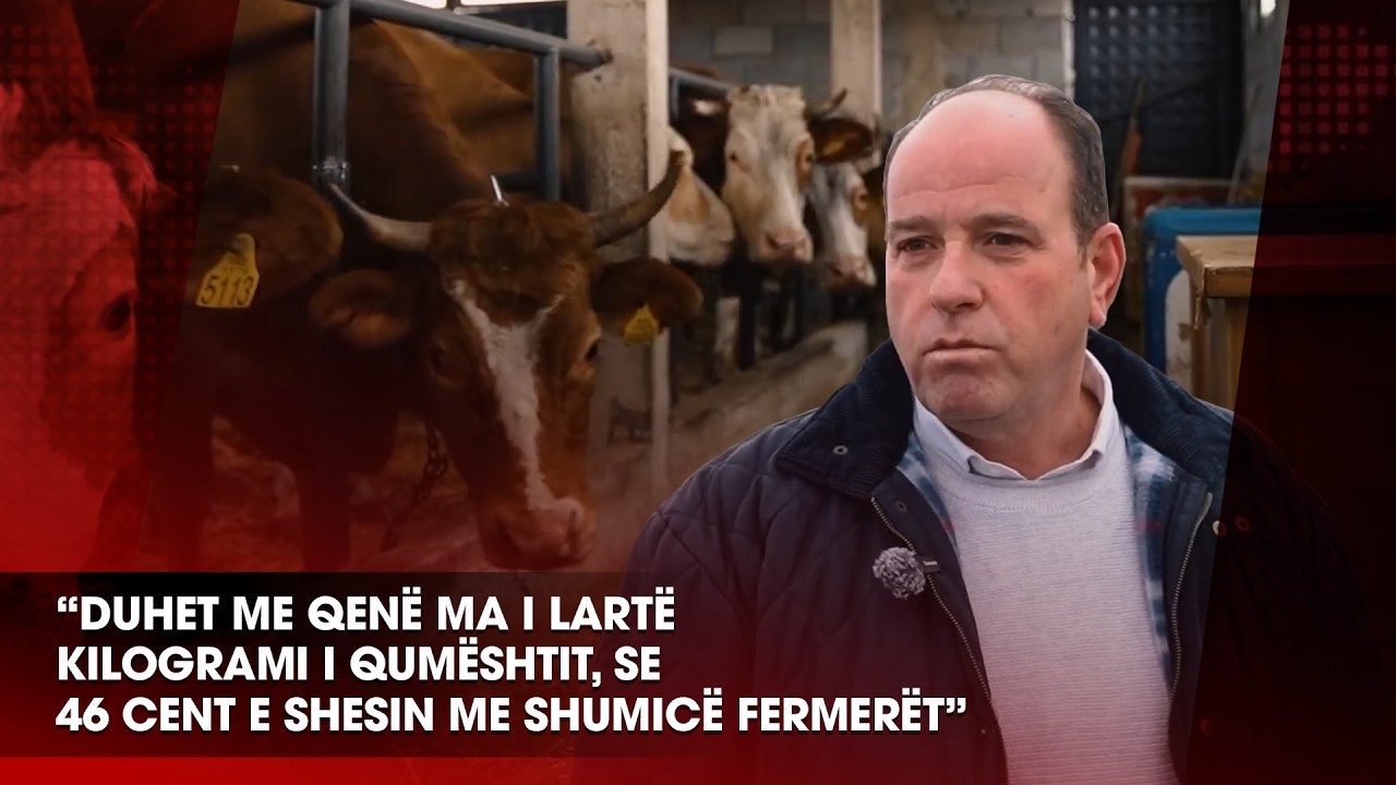 “Duhet me qenë ma i lartë kilogrami i qumështit, se 46 cent e shesin me shumicë fermerët”