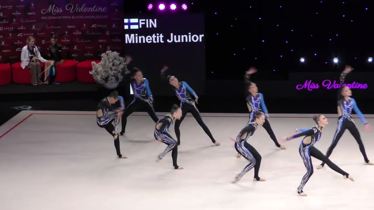 Minetit Junior.FIN