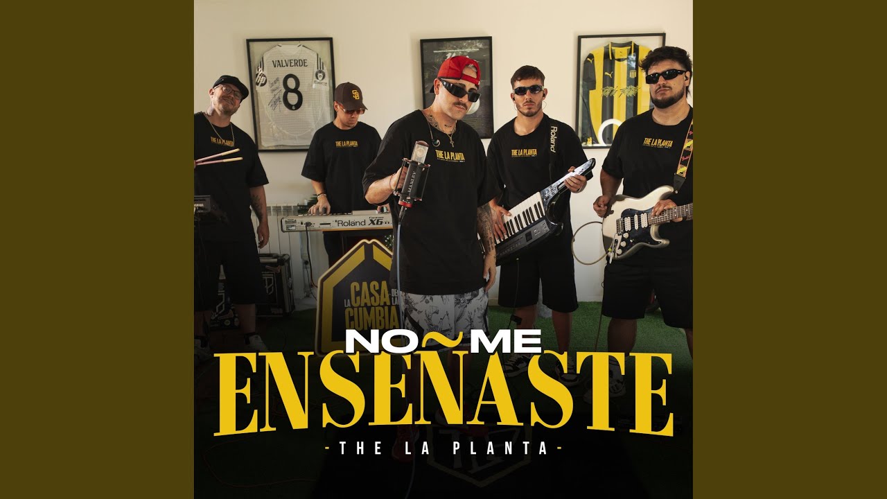 No Me Enseñaste