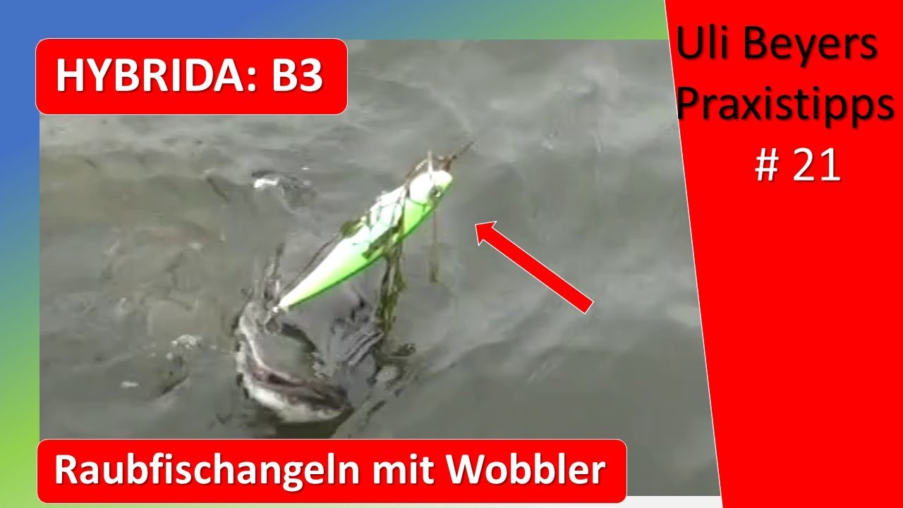Hybrida Wobbler: B3 für kapitale Hechte und Zander