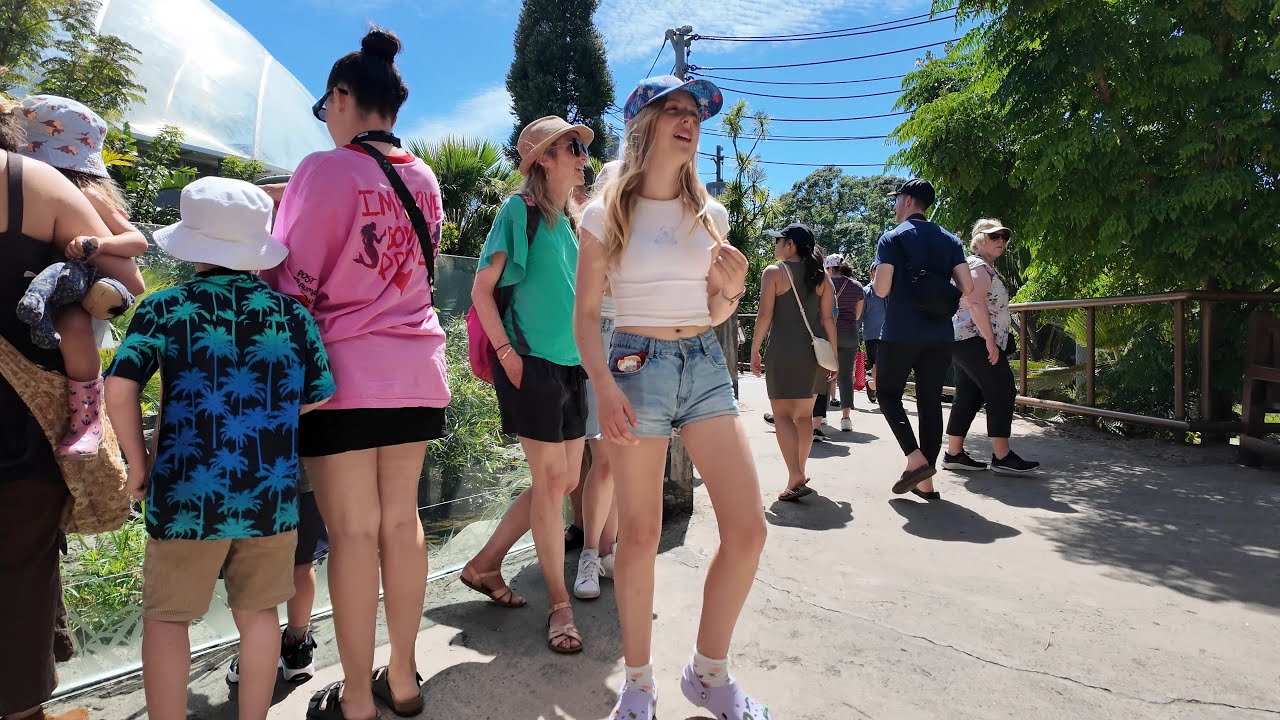 (4K) Summer Walk | Experience Auckland Zoo (North Island, New Zealand) | DJI Osmo Pocket 3