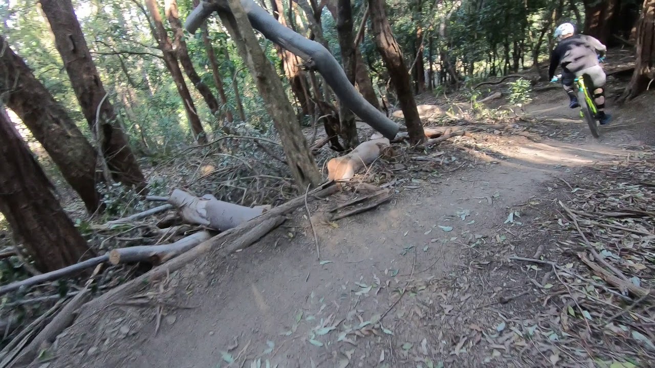 Mt Keira MTB - Old Mans Trail