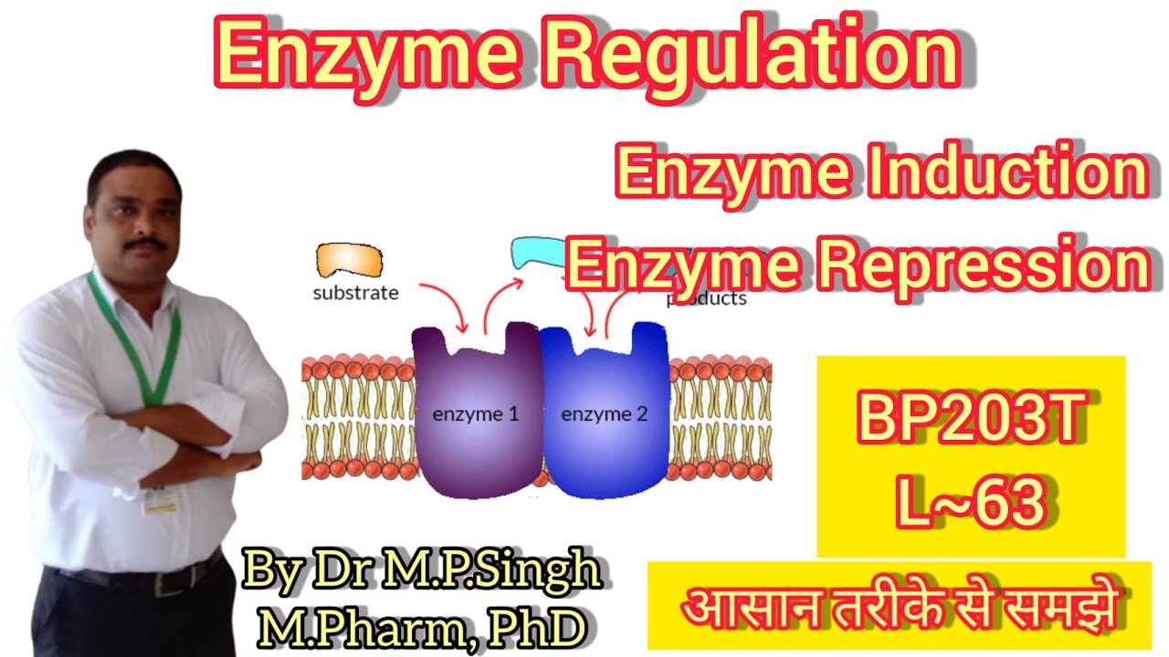 Regulation of Enzymes | Enzyme Induction & Enzyme Repression | Biochemistry | BP203T | L~63