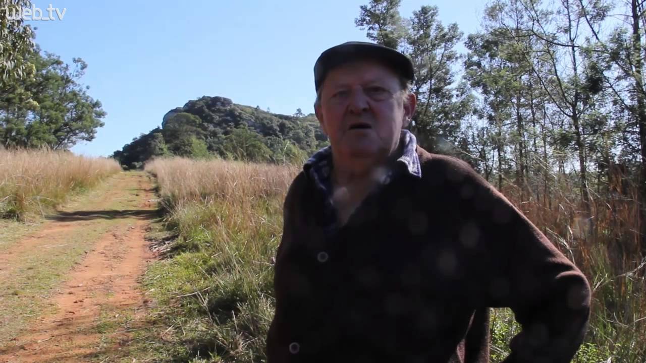 Após 65 anos, aposentado relata memórias do dia que avião caiu em Sapucaia do Sul