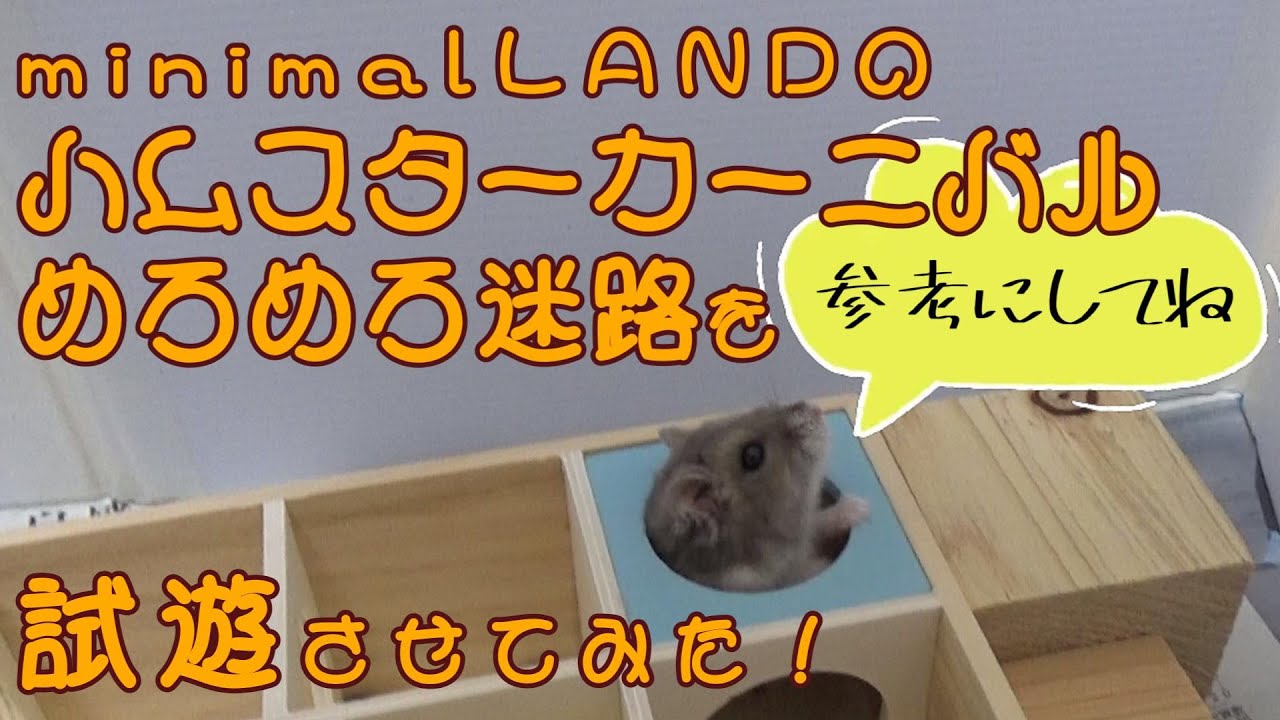 minimal LAND社の「ハムスターカーニバル めろめろ迷路」をはむ詰に試遊させてみました！