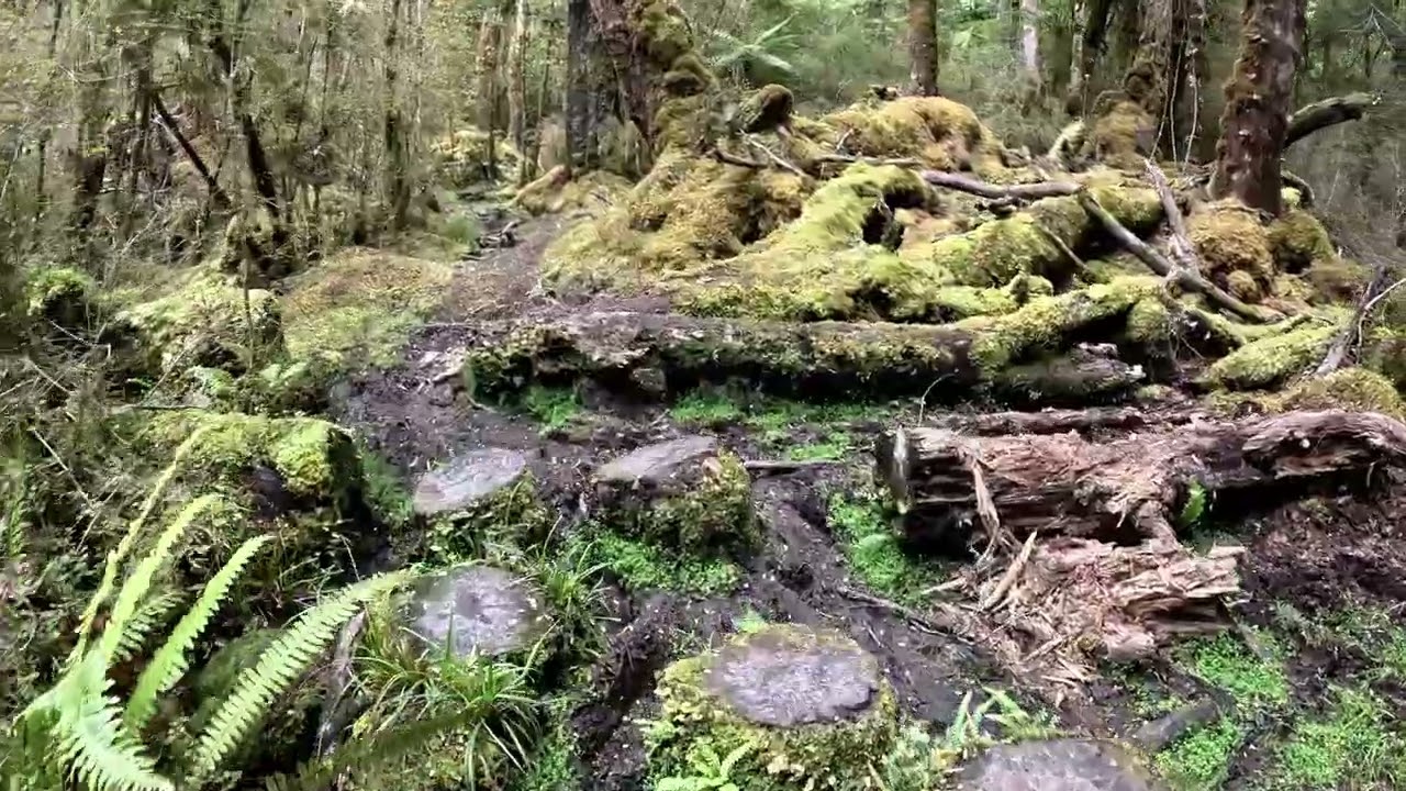 Hope Arm Hut