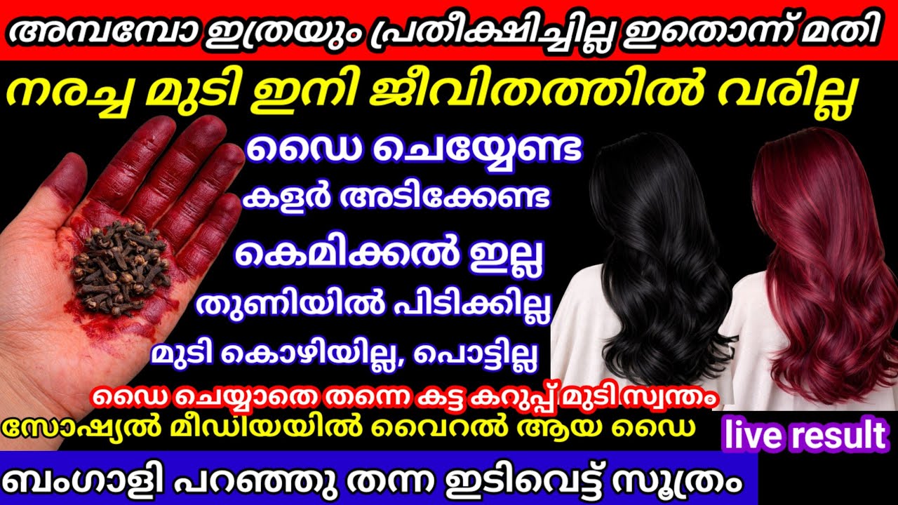 അമ്പമ്പോ!! അറിഞ്ഞതേയില്ല ഇങ്ങനെ ഒരു ഇടിവെട്ട് സൂത്രം നരച്ച മുടി ജീവിതത്തിൽ പേടിക്കേണ്ട/viralhairdye 