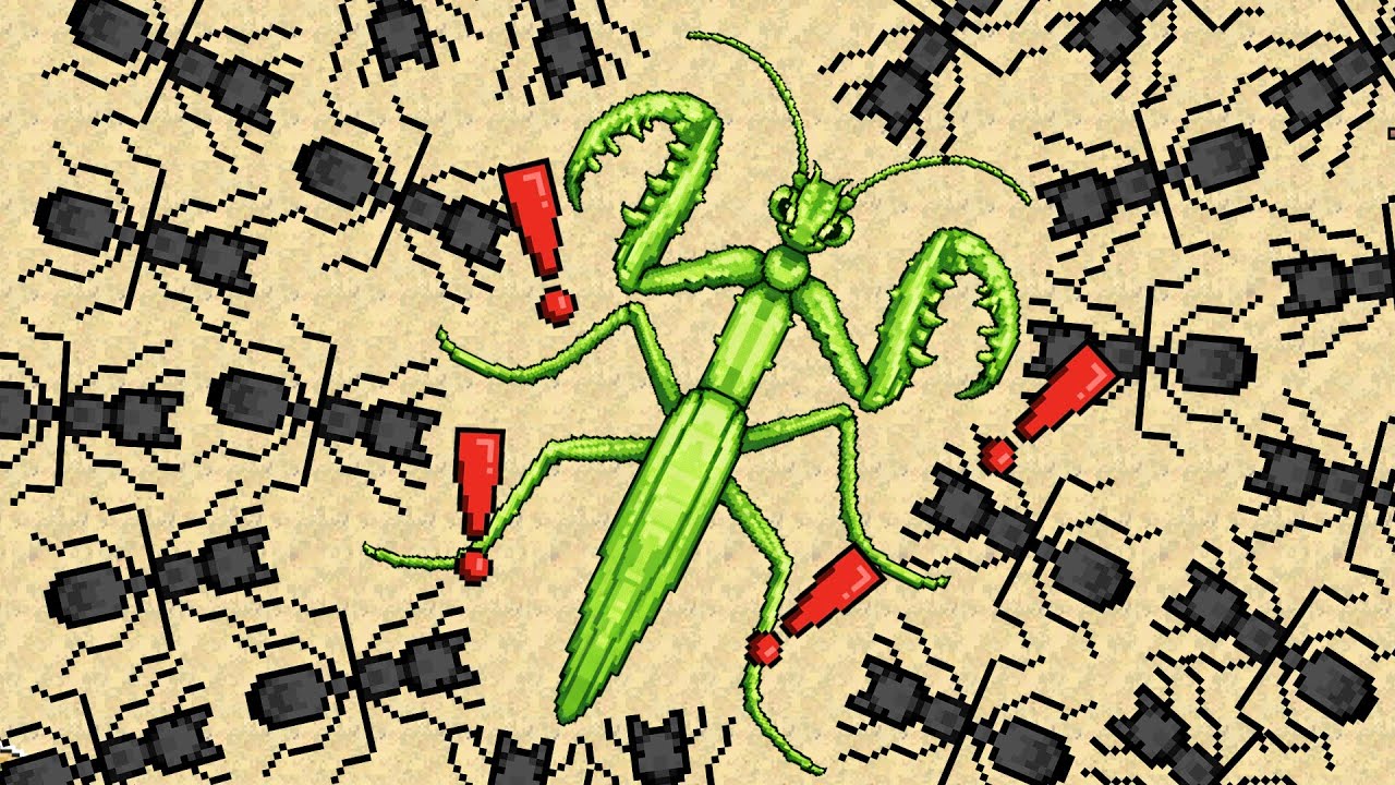 NÃO ACHEI QUE ELAS FOSSEM CONSEGUIR... (Pocket Ants)