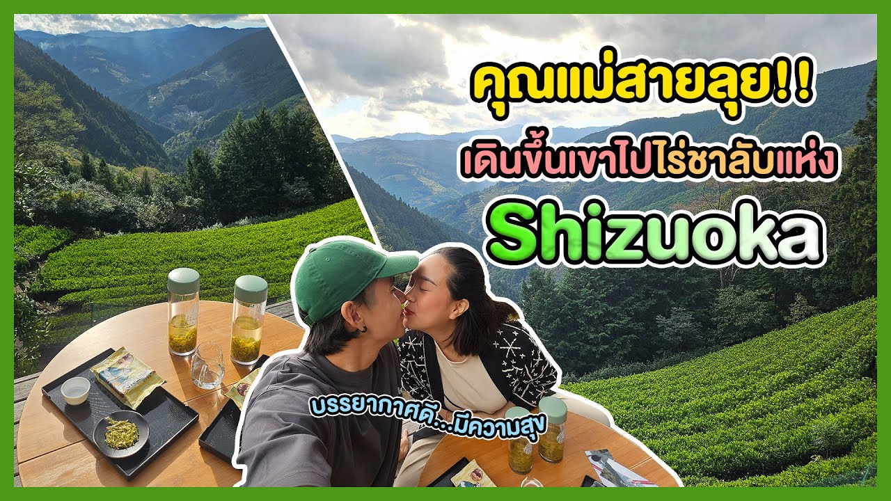 คุณแม่สายลุย!! เดินขึ้นเขาไปไร่ชาลับแห่ง Shizuoka 🇯🇵