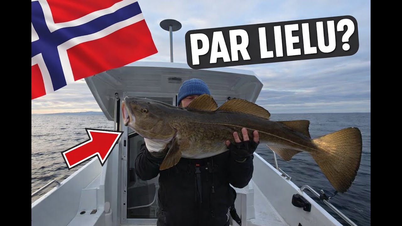 Kad pie auklas pieķeras ŠIS… kļūst kluss 🎣🌊
