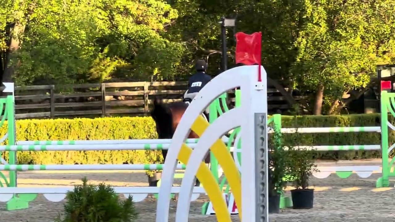Archie Z Winning USET 2* Talent Search, Old Salem September 