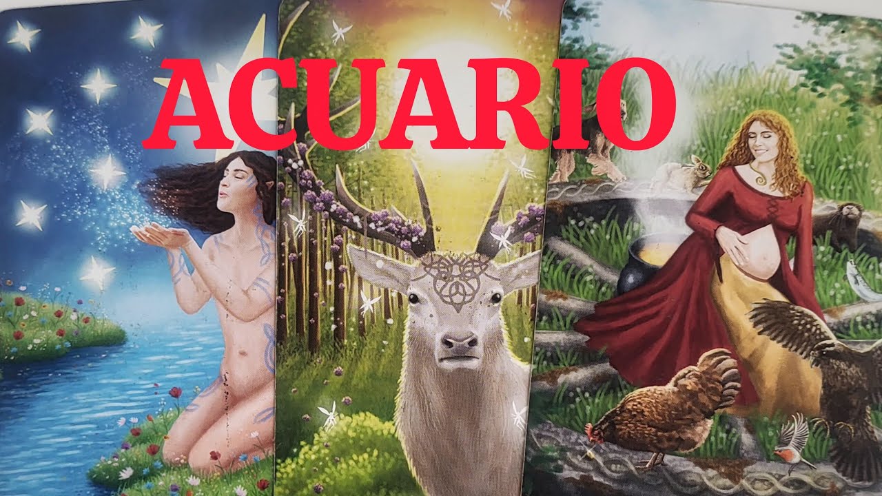 ACUARIO♒️ SALTARÁS DE ALEGRIA!! Tu silencio provoca la vuelta de alguien