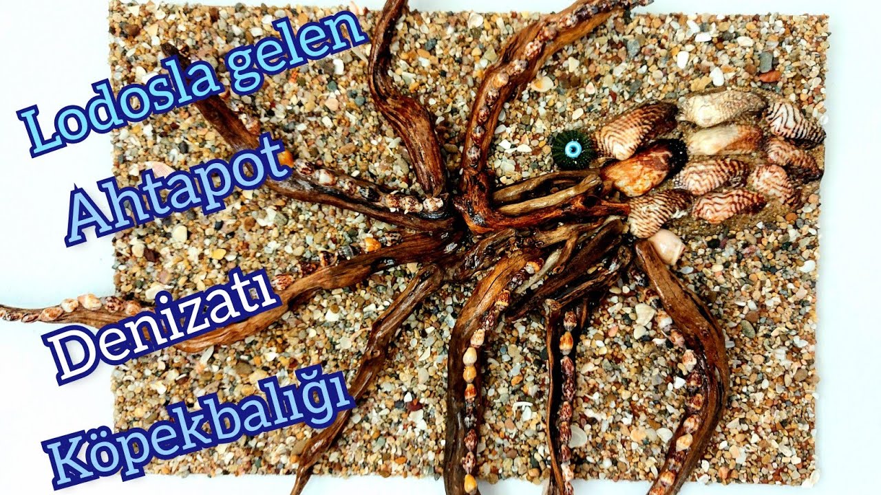 Sahilden topladığımız deniz kabukları & tahtalarla yaptıklarımız ahtapot,denizatı,köpekbalığı,Yalos