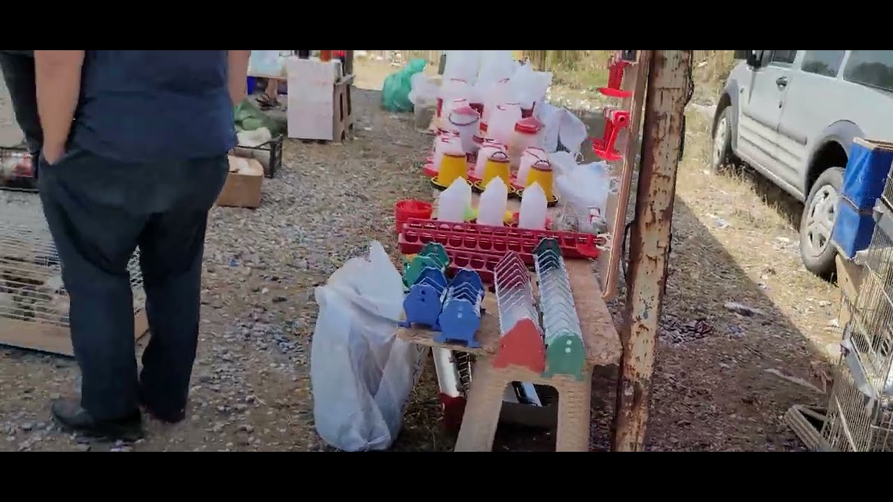 sakarya tavuk pazarı 07 07 2024 part 2