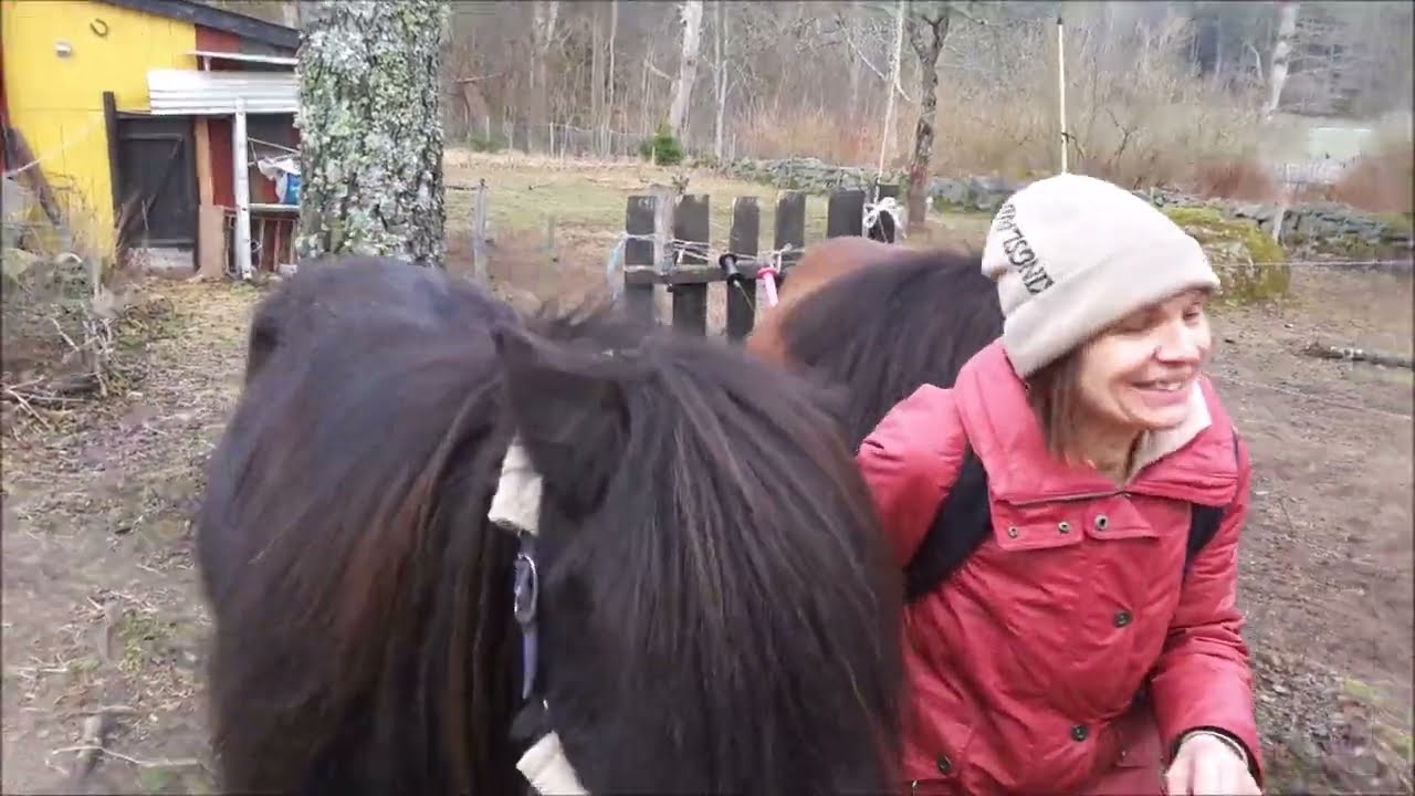 OSTER - Abenteuer f&uuml;r meine ISL&Auml;NDER (1)