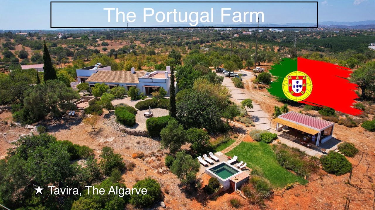 The Wunderlust Travelers: Portugal Food Experience 2022, Tavira, Portugal VLOG