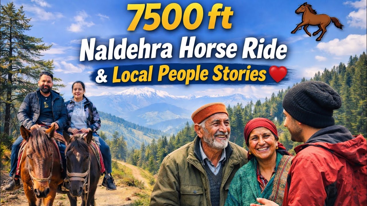 Locals ne area de jehre facts dassse… you’ll LOVE this! 😳🔥🐎”✨ #exploreindia #viral #travel #punjab 