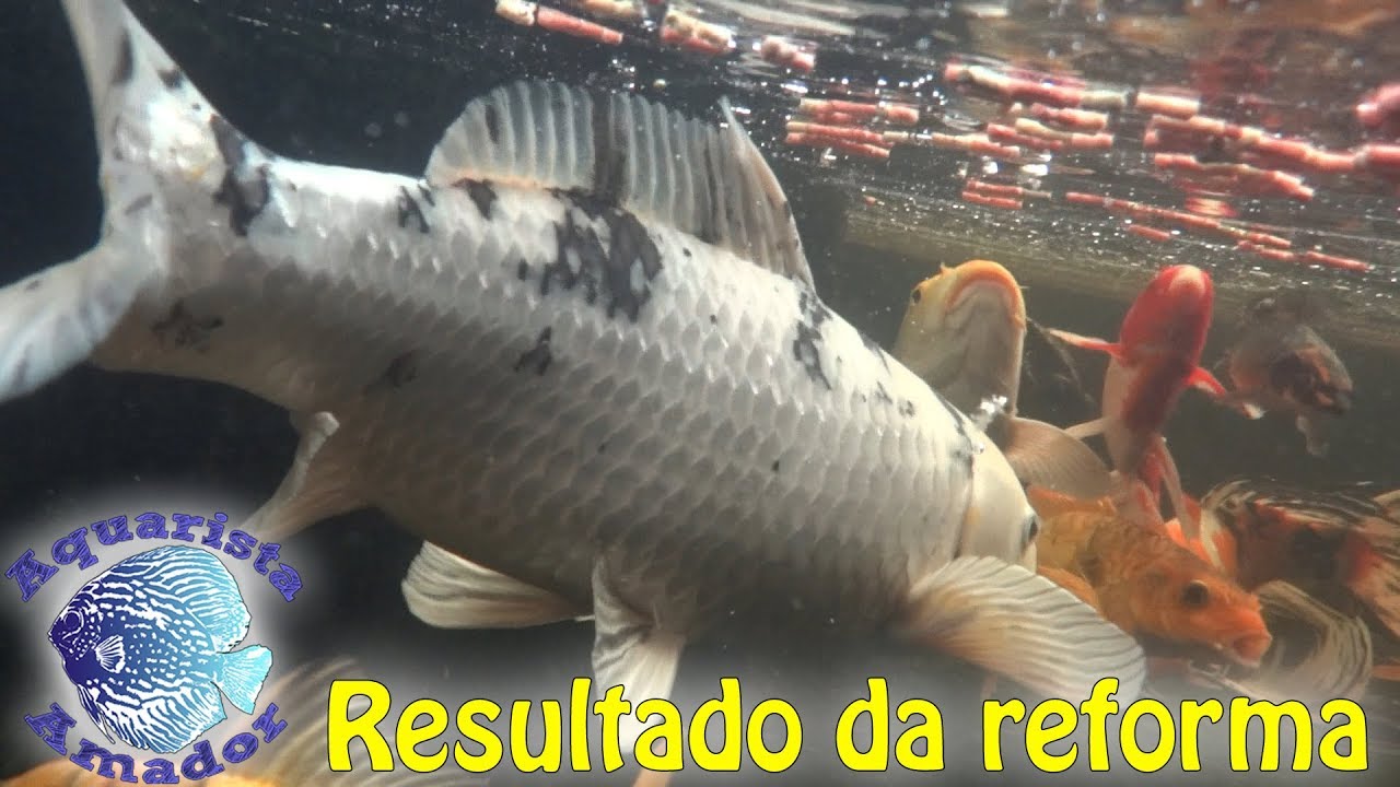 NOVA FILTRAGEM - RESULTADOS