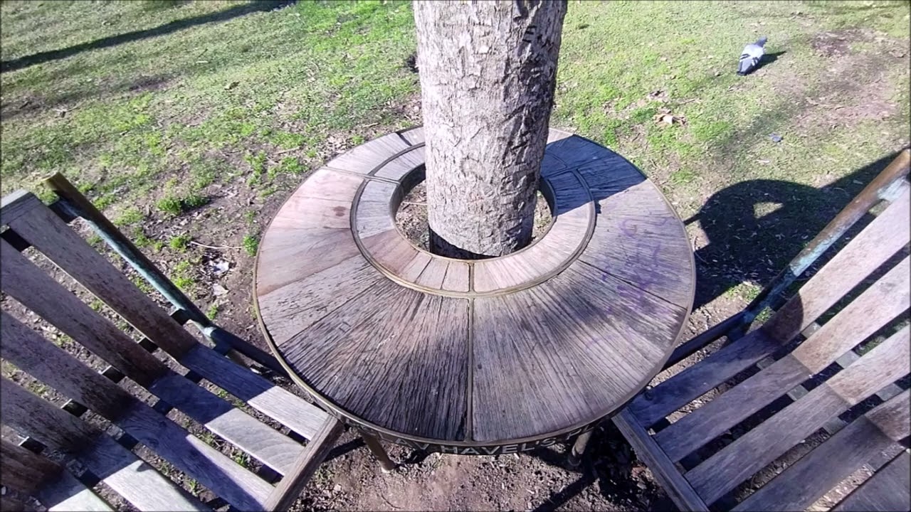 ESPAI V&Aacute;CLAV HAVEL (2014), de BOREK S&Iacute;PEK (PARC DE LA CIUTADELLA) 21 01 2026