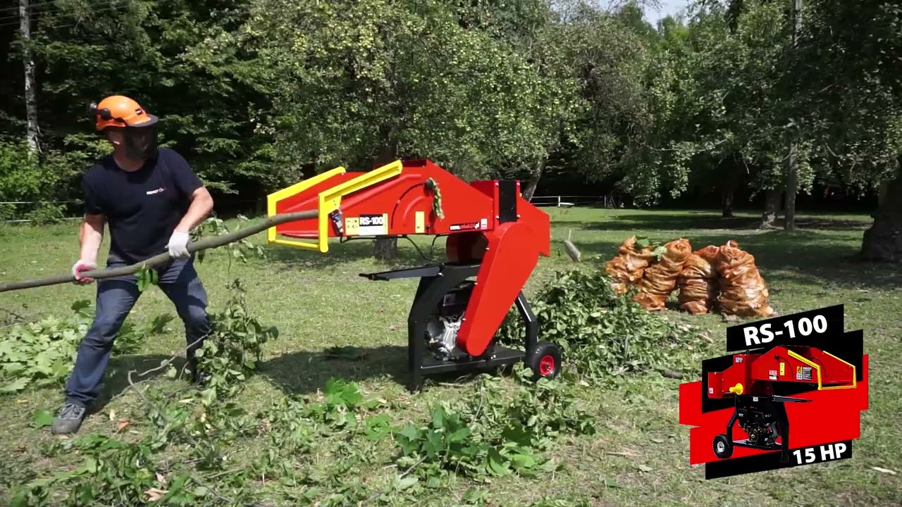 Buche? Hainbuche?  Remet RS-100 hackt sich da durch
