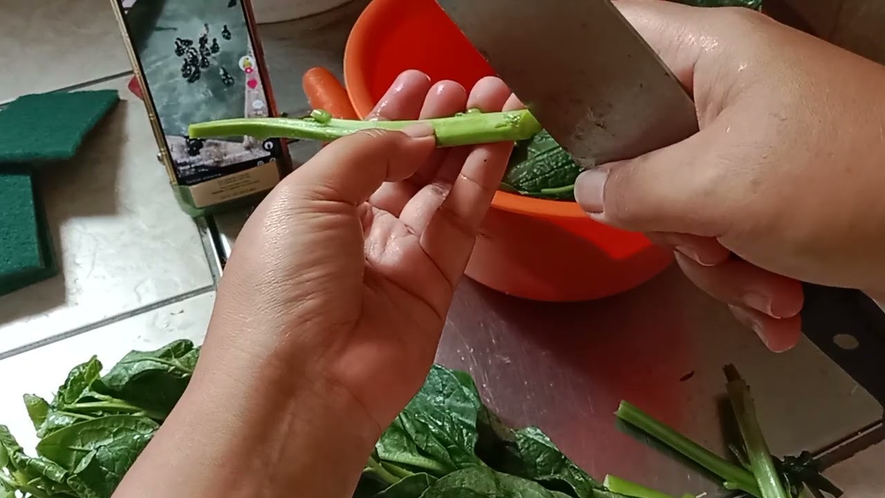 Metik Bayam cina sambil liat si imut