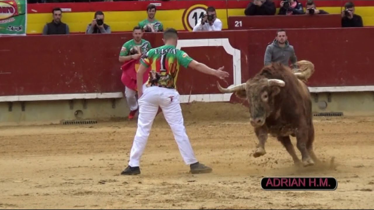 VIDEOCLIP DVD BOUS ADRIÁN HERNÁNDEZ MARÍ 2018 1º PARTE 1º DVD
