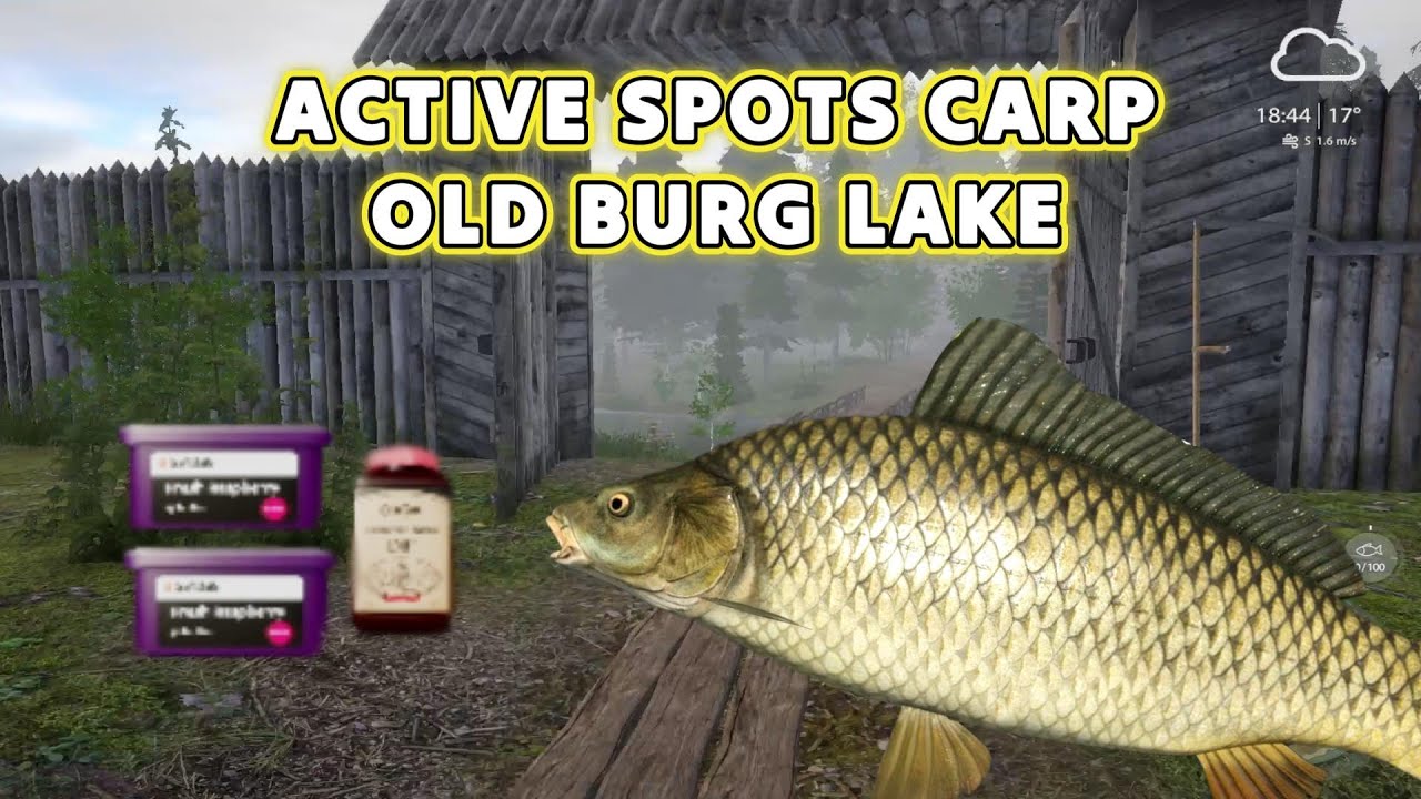 Active Spot Carp Old Burg Lake | Russian Fishing 4