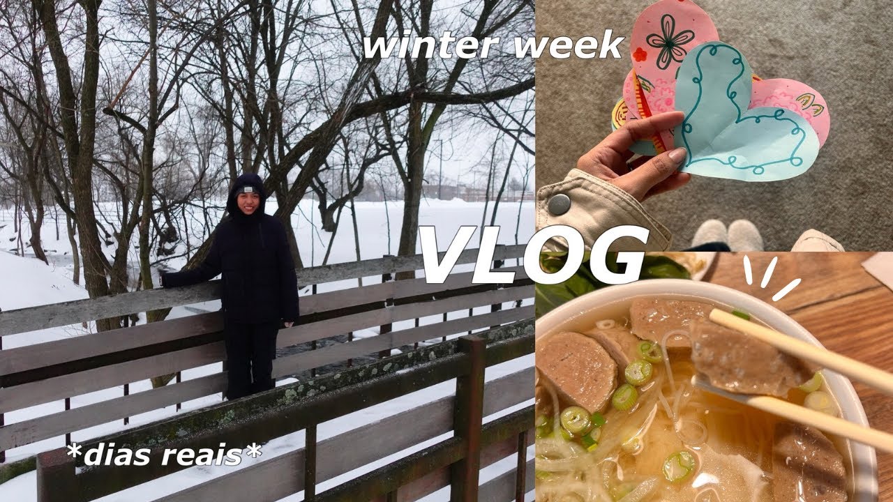 VLOG MORANDO NOS EUA | dias realísticos, cozinhando em dia de tédio, muita neve, como termino o mês