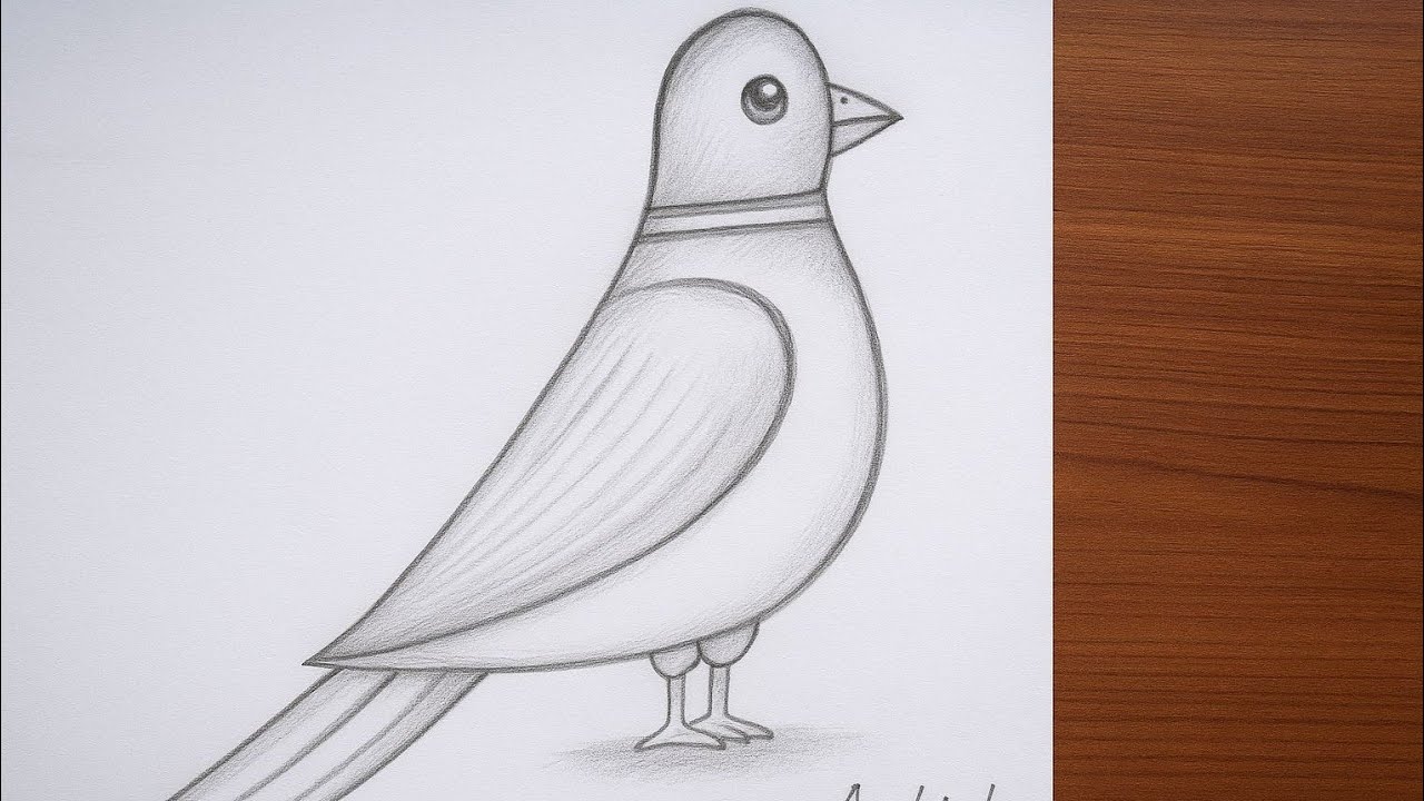 How to Draw a Pigeon 🕊️ | Easy Bird Drawing for Kids | Step by Step Tutorial