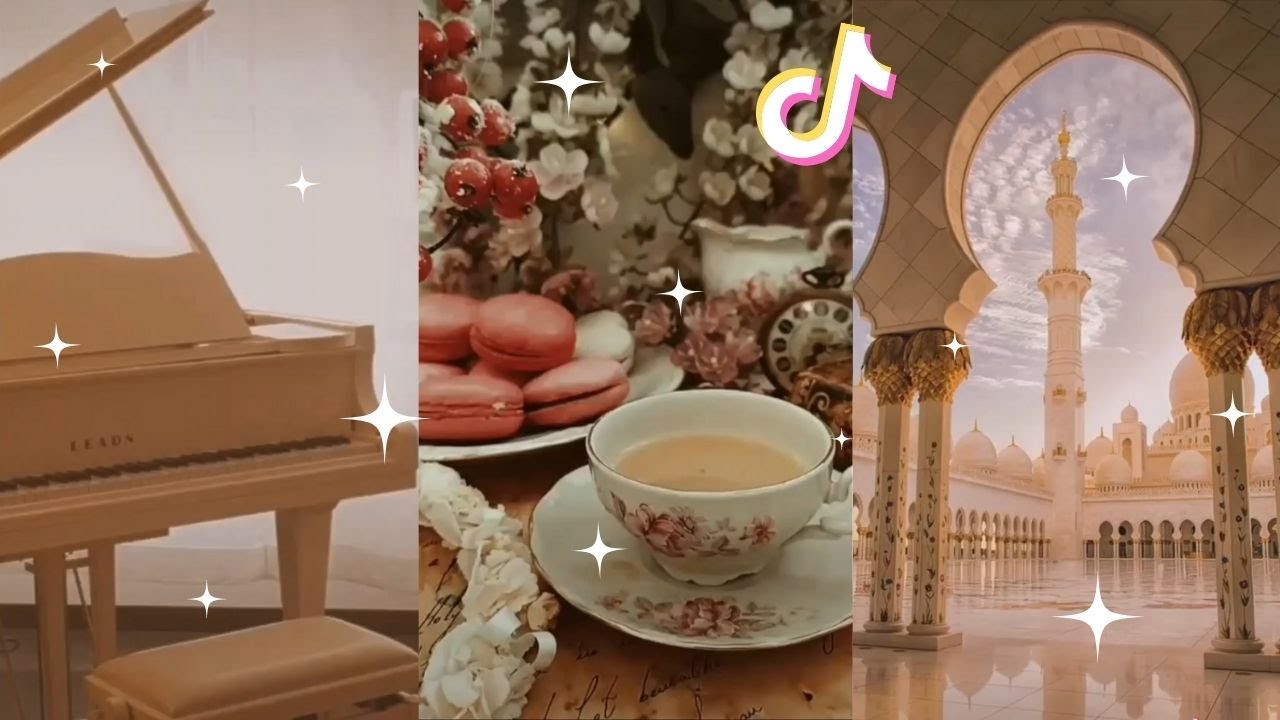 Light Academia tiktok compilation ☕