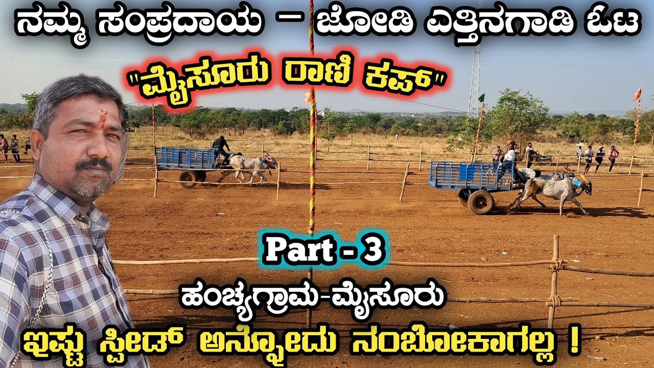 ಗ್ರಾಮೀಣ ಸಂಸ್ಕೃತಿಯ ಅದ್ಭುತ ಸ್ಪರ್ಧೆ! ರೈತರ ಹೆಮ್ಮೆ &ndash; ಎತ್ತಿನಗಾಡಿ ಓಟ #sumashomeworld #hanchya #mysuru 