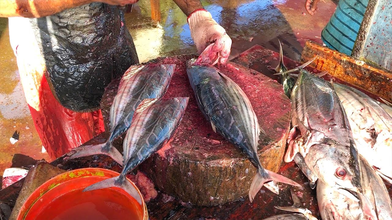 Fish Cutting for Dry Fish! Unique Tuna Fish Cutting🐟 Amazing Fishing #Short