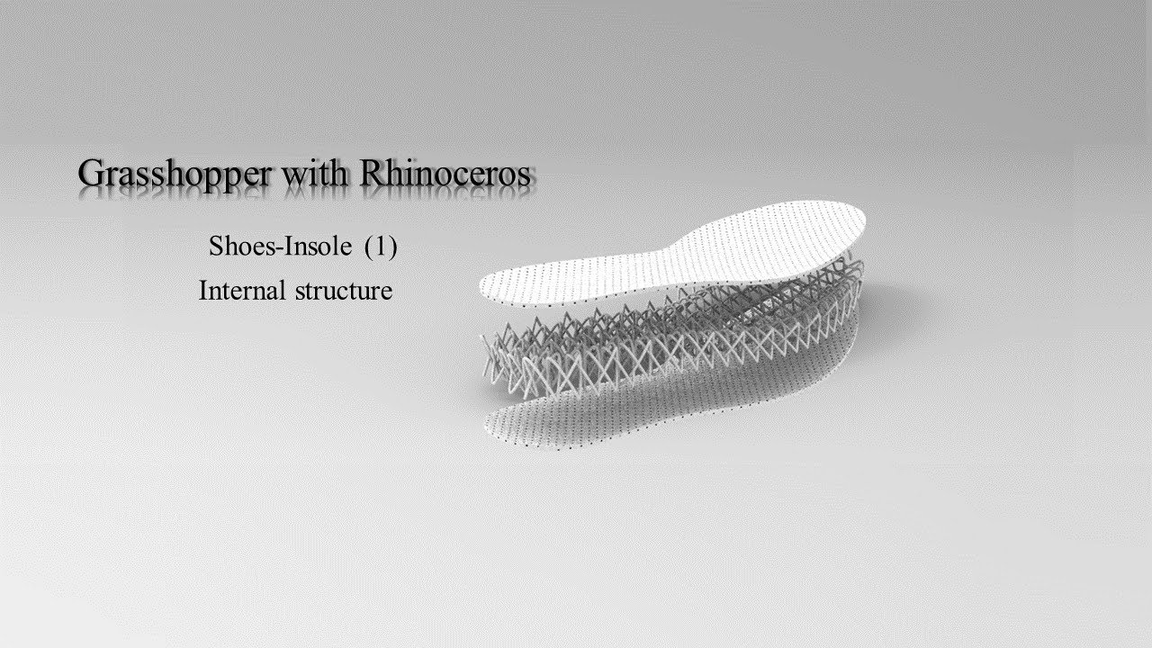 Grasshopper with Rhinoceros- shoes Insole