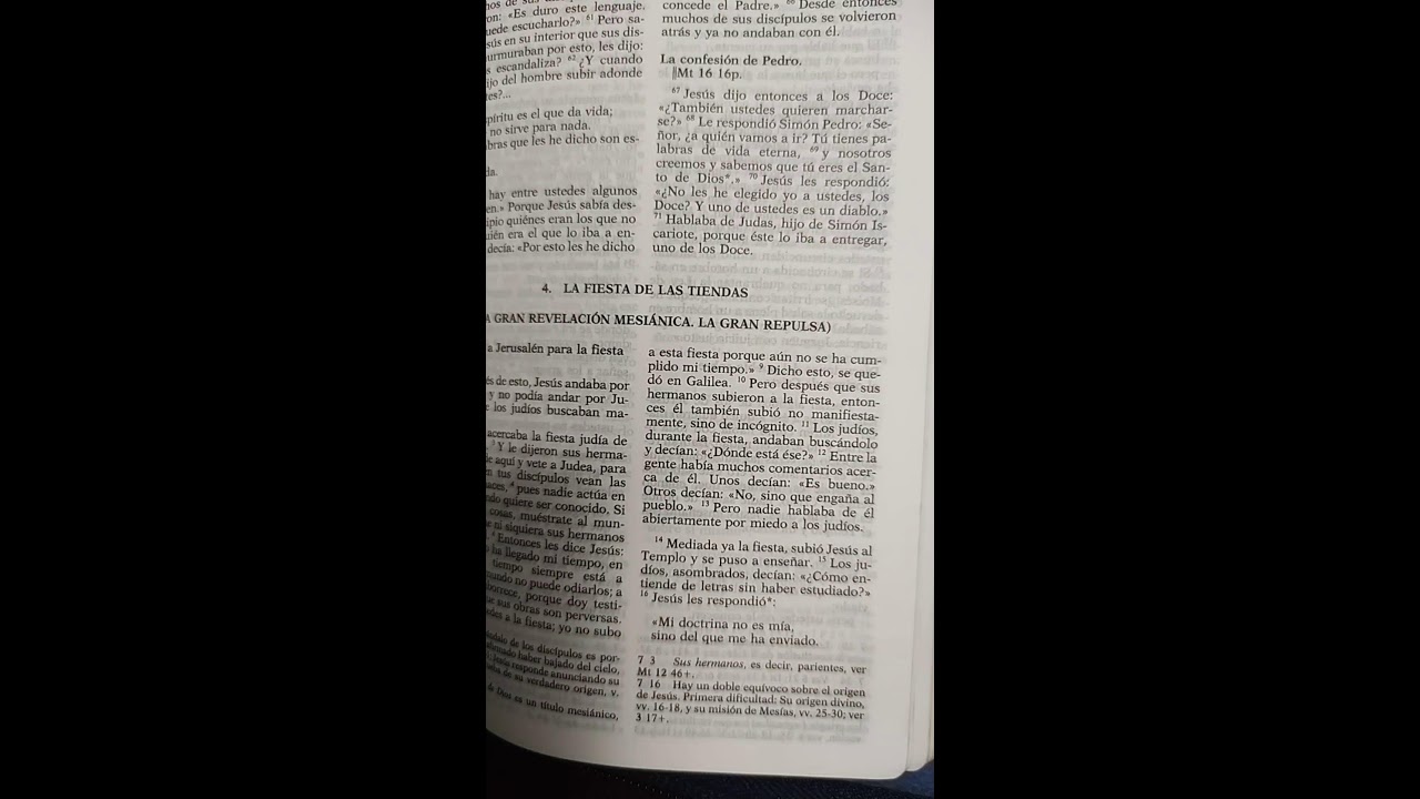 Reflexión EVANGELIO SEGÚN SAN JUAN capitulo Seis. Lectura idioma español. Biblia Jerusalen.