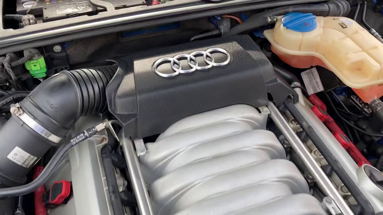 B7 Audi S4 4.2 V8 chain rattle after 2 months in storage