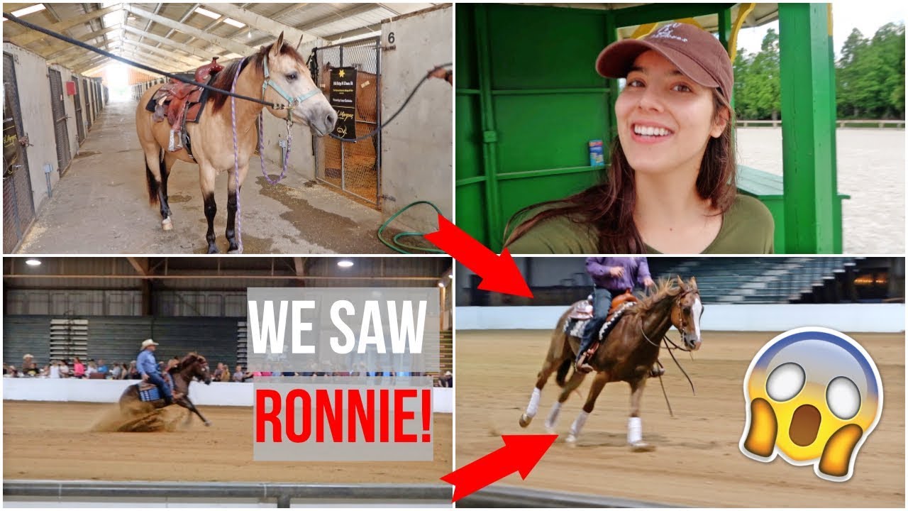 SFRHA Reining Show VLOG