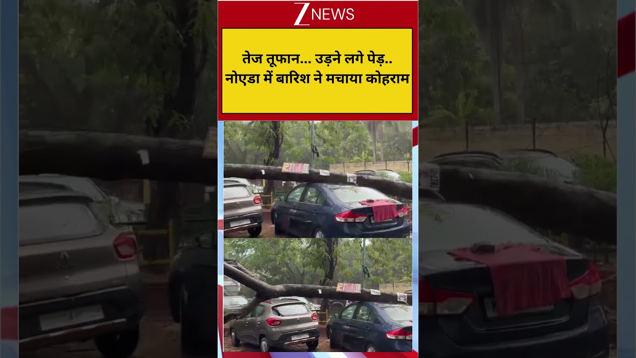 #shorts: तेज तूफान... उड़ने लगे पेड़.. नोएडा में बारिश ने मचाया कोहराम | Heavy Rain in Noida