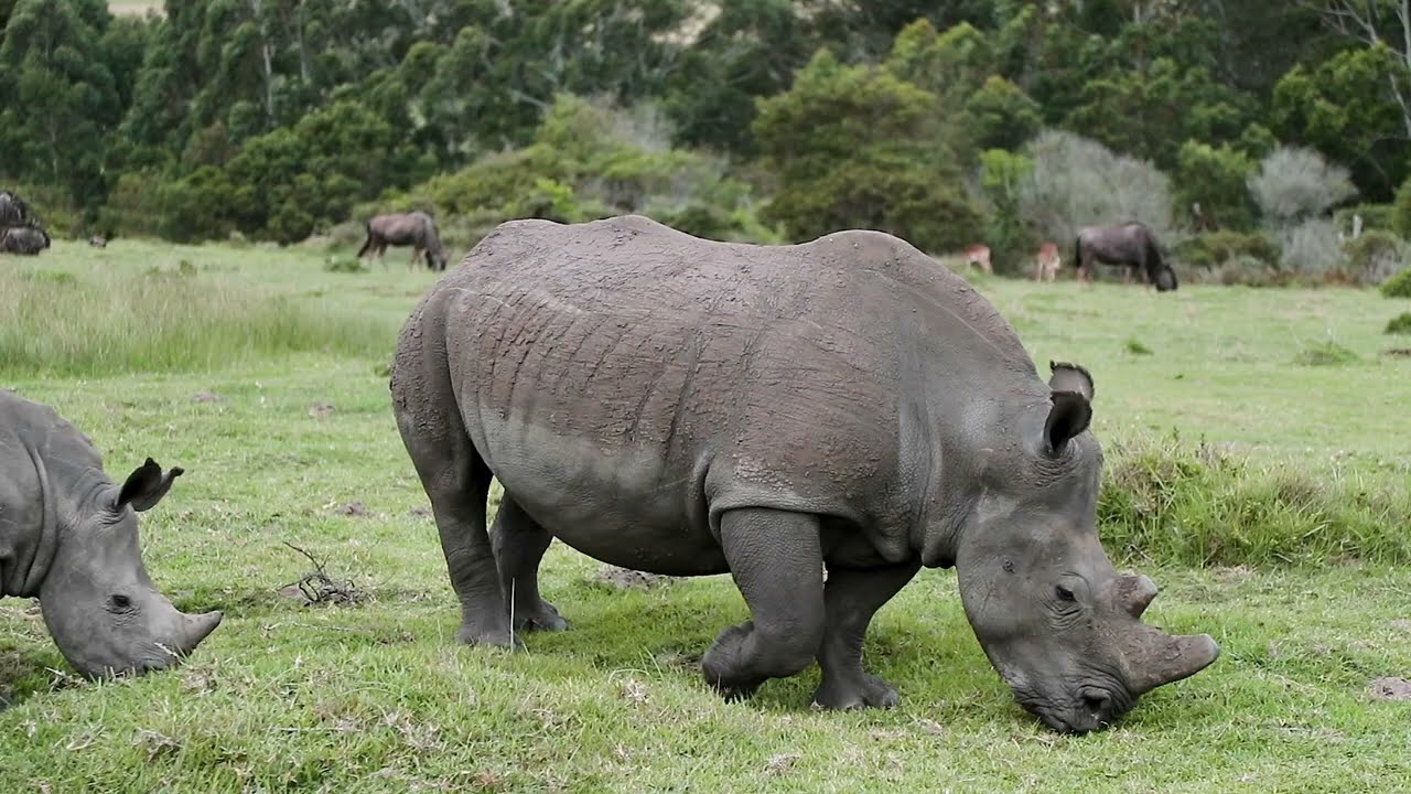 Kragga Kamma Game Park Estate