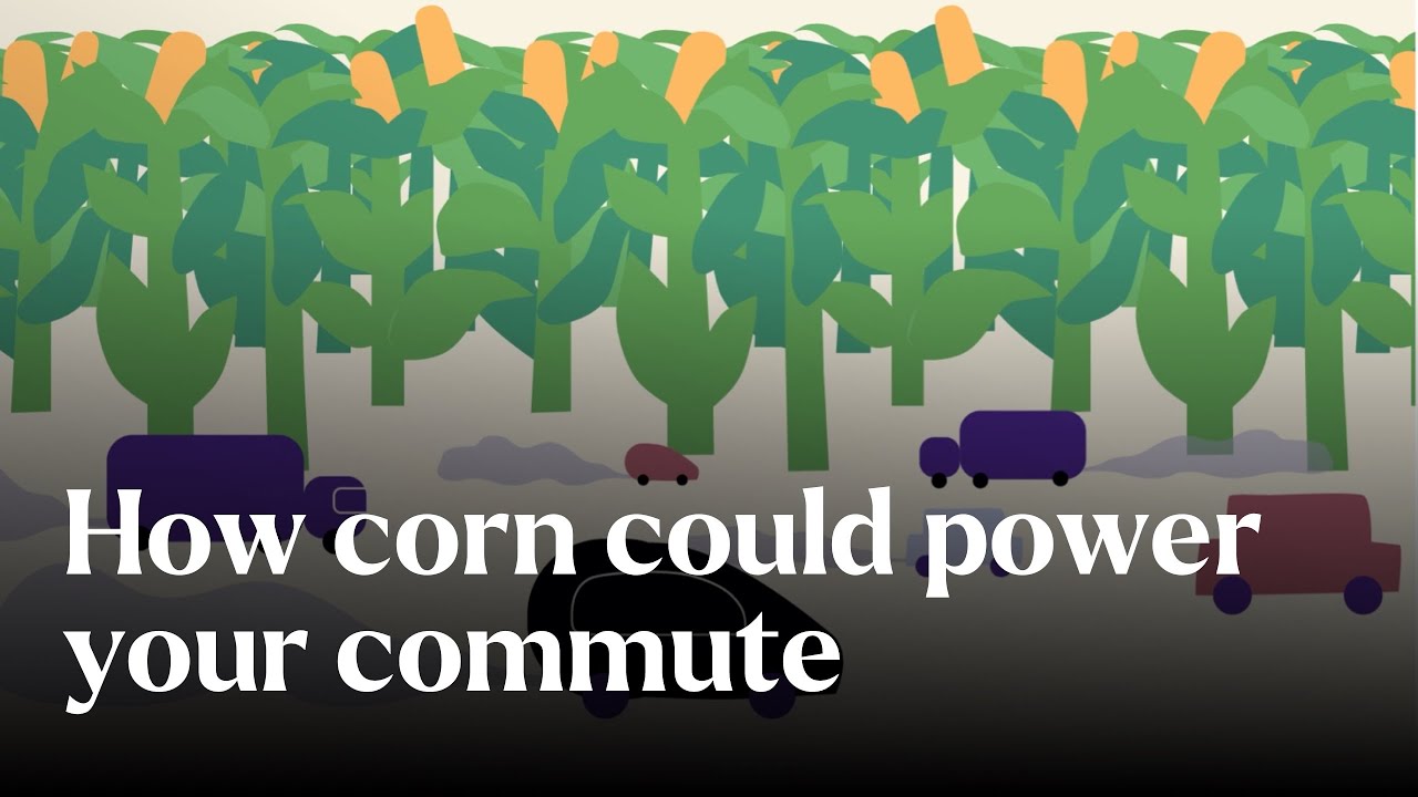 How corn could power your commute - Nature's Building Blocks | BBC StoryWorks